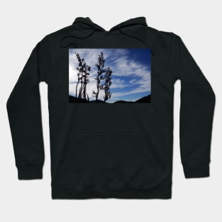 flax seed heads Hoodie